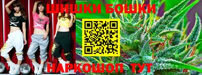 молекула духа Будённовск