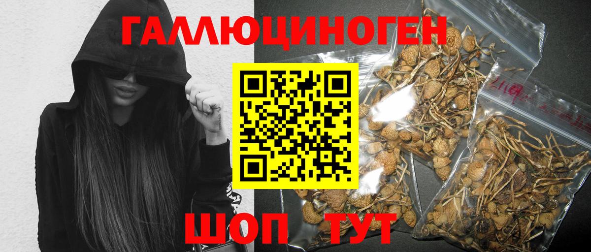 Галлюциногенные грибы мухоморы Котовск